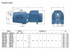Sūknis JSWm 3BM 1,5kW 230V 50Hz Pedrollo 3