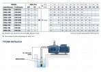 Sūknis JSW 3AH 2,2kW 380V 50Hz Pedrollo 5