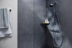Hansgrohe Ecostat Element dušas termostats, Brushed Bronze 3