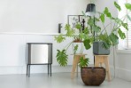Brabantia Bo Touch atkritumu tvertne 36 l, Matt Steel FPP 5
