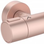 Ceratherm ALU+ dušas sistēma Ø260 mm galva 2jet, Rose 9