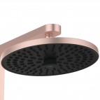 Ceratherm ALU+ dušas sistēma Ø260 mm galva 2jet, Rose 7