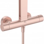 Ceratherm ALU+ dušas sistēma Ø260 mm galva 2jet, Rose 6