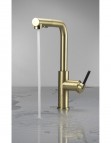 Deante Momi Virtuves jaucējkrāns ar izvelkamu snīpi, Brushed Gold 3