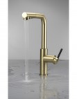 Deante Momi Virtuves jaucējkrāns ar izvelkamu snīpi, Brushed Gold 2