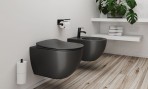 Deante Peonia Tualetes poda vāks, Soft-closing, Anthracite/ Titanium 4