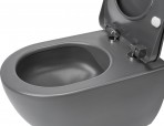 Deante Peonia Tualetes pods ar vāku, bez apmales, Anthracite, Titanium 8