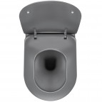 Deante Peonia Tualetes pods ar vāku, bez apmales, Anthracite, Titanium 2