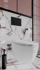 Deante Silia Tualetes poda komplekts, iebūvējams, White/ Nero 9