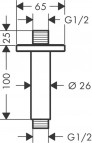 Dušas galvas izvads Vernis Shape, h=100 mm, no griestiem, hroms 2