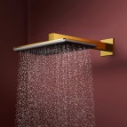 Hansgrohe Raindance Alive Q Dušas galva 210/340, 1jet, EcoSmart, Gold 4