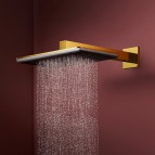 Hansgrohe Raindance Alive Q Dušas galva 210/340, 1jet, EcoSmart, Gold 2