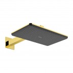 Hansgrohe Raindance Alive Q Dušas galva 210/340, 2jet, Gold