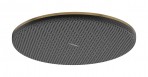 Hansgrohe Raindance Alive S Dušas galva 300, 1 jet, Brushed Bronze