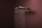Hansgrohe Raindance Alive S Dušas galva 300, 1 jet, EcoSmart, Gold 6