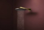 Hansgrohe Raindance Alive S Dušas galva 300, 1 jet, EcoSmart, Gold 7