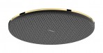 Hansgrohe Raindance Alive S Dušas galva 300, 1 jet, Gold
