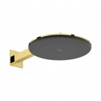 Hansgrohe Raindance Alive S Dušas galva un turētājs 300, 2jet, Gold
