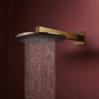 Hansgrohe Raindance Alive S Dušas galva un turētājs 300, 2jet, Gold 4