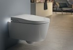 In-Wash® Inspira piekaramais tualetes pods 11