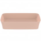 Ipalyss izlietne bez pārplūdes cauruma 55 cm, Nude 4