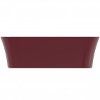 Ipalyss izlietne bez pārplūdes cauruma 55 cm, Pomegranate 6