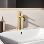 Joy Grande izlietnes maisītājs bez pop-up, Brushed Gold 6