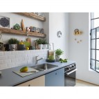 Smart SRX 110-50 virtuves izlietne, 541x441 mm, Manuāla vadība 3