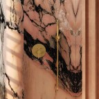 Omnires dušas šļūtene 150 cm, Brushed brass 3