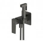 Omnires Parma bidettas dušas komplekts, Brushed graphite