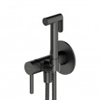 Omnires Y Bideta sistēma, Brushed Graphite