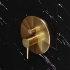 Omnires Y Dušas/vannas maisītājs slēptai uzstād., Brushed Gold 3