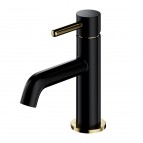 Omnires Y Izlietnes maisītājs, Matt Black/ Polished Gold